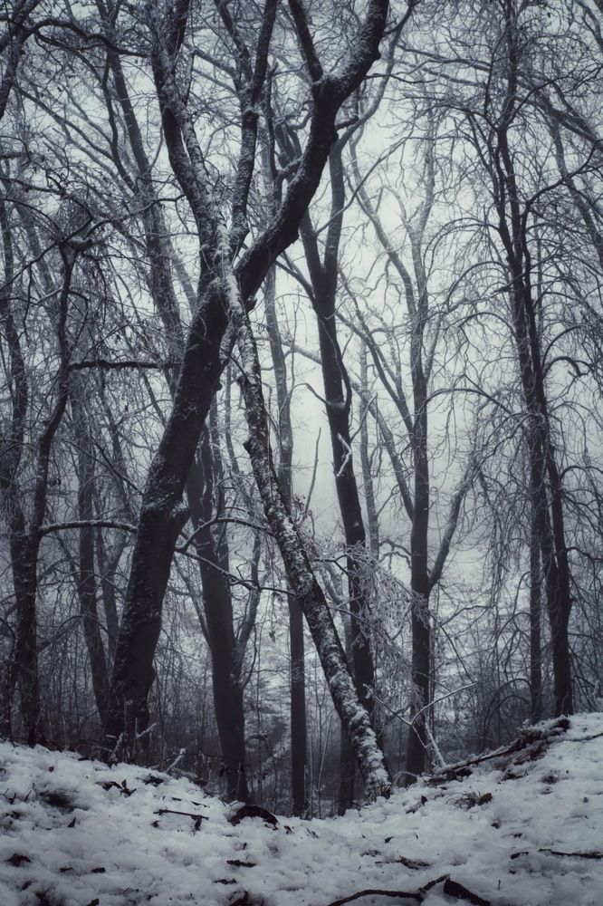 Photograph by Людмила Евстратова