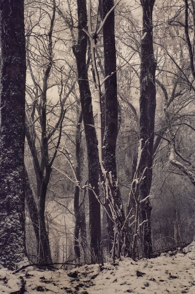 Photograph by Людмила Евстратова