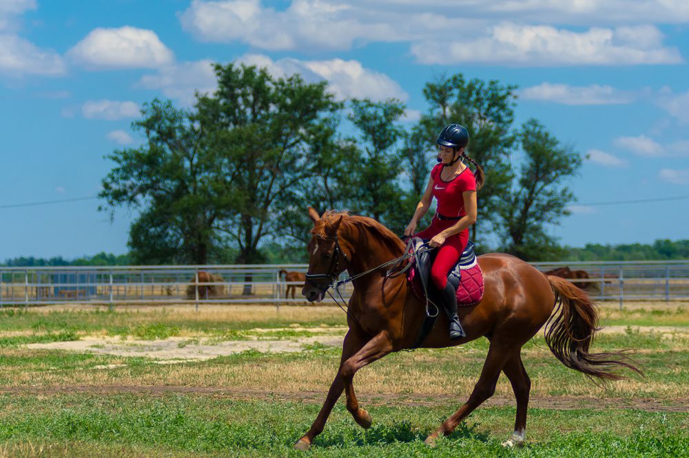 Photograph by Дзись Оксана