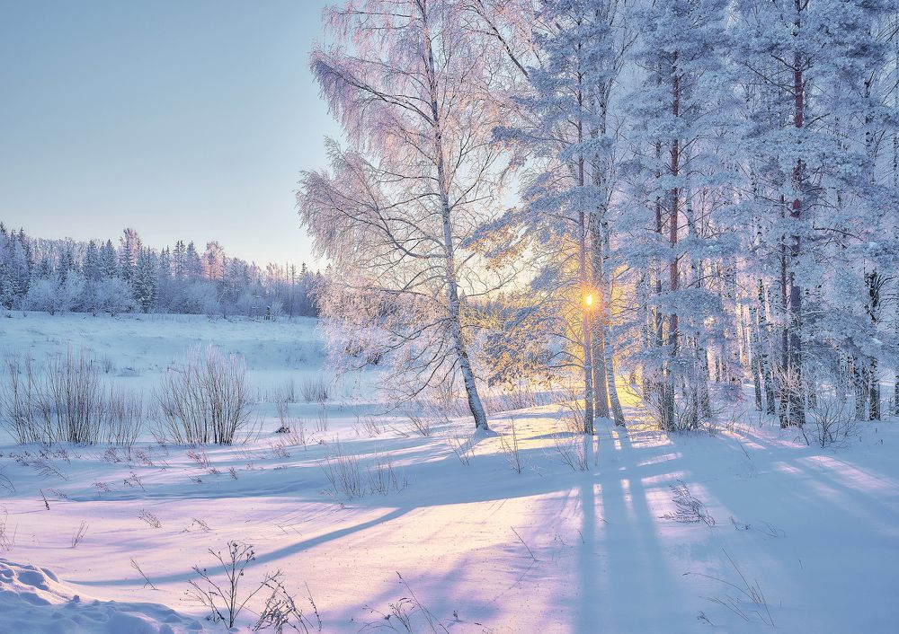 Photograph by Крышковец Владимир
