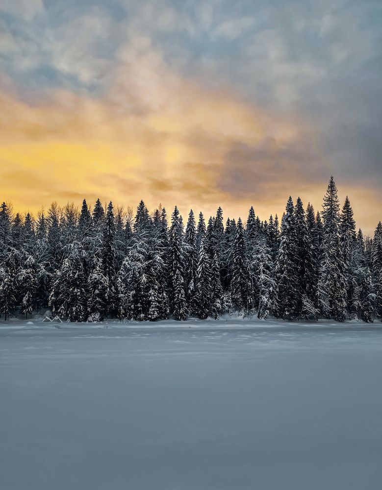 Photograph by Евгений Козырев