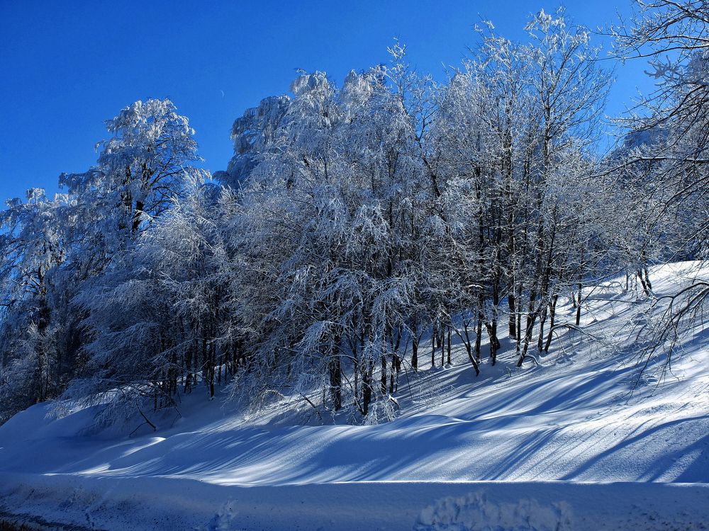 Photograph by Muzaffer Sütlüoğlu