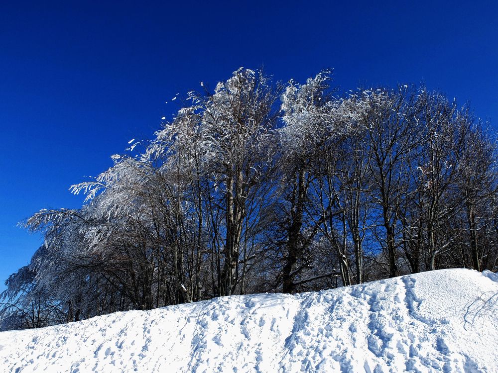 Photograph by Muzaffer Sütlüoğlu