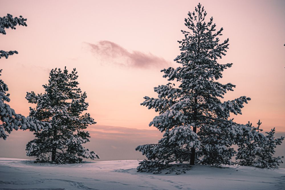 Photograph by Александр Безуглый