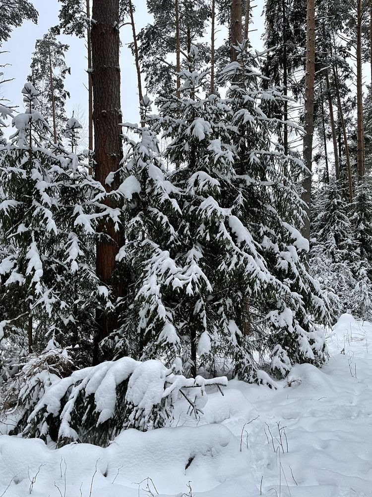 Photograph by Анастасия Родионова