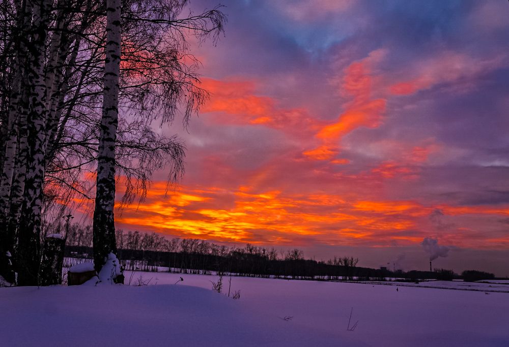 Photograph by Владимир Орлов
