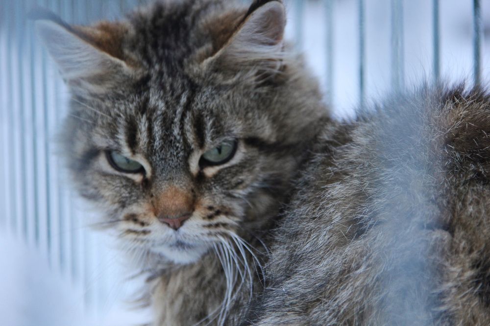 Photograph by Daria Kirina