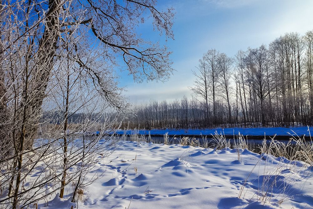 Photograph by Владимир Орлов