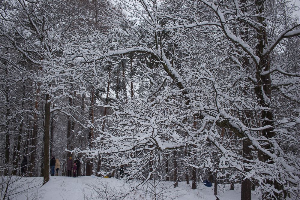 Photograph by Елена Шахова