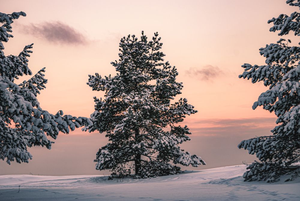 Photograph by Александр Безуглый