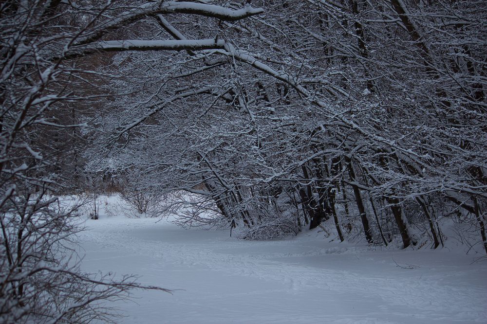 Photograph by Елена Шахова