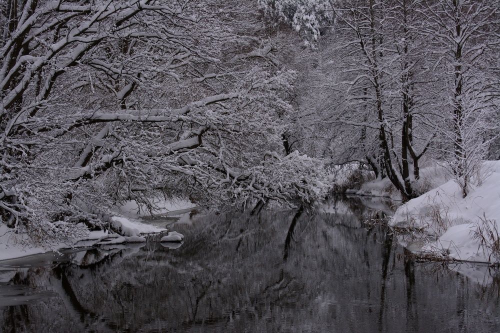 Photograph by Сергей Симаков