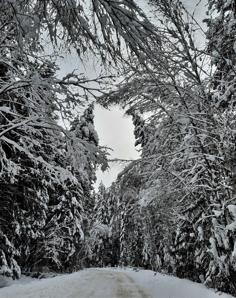 Фотография автора Елена Пикатова