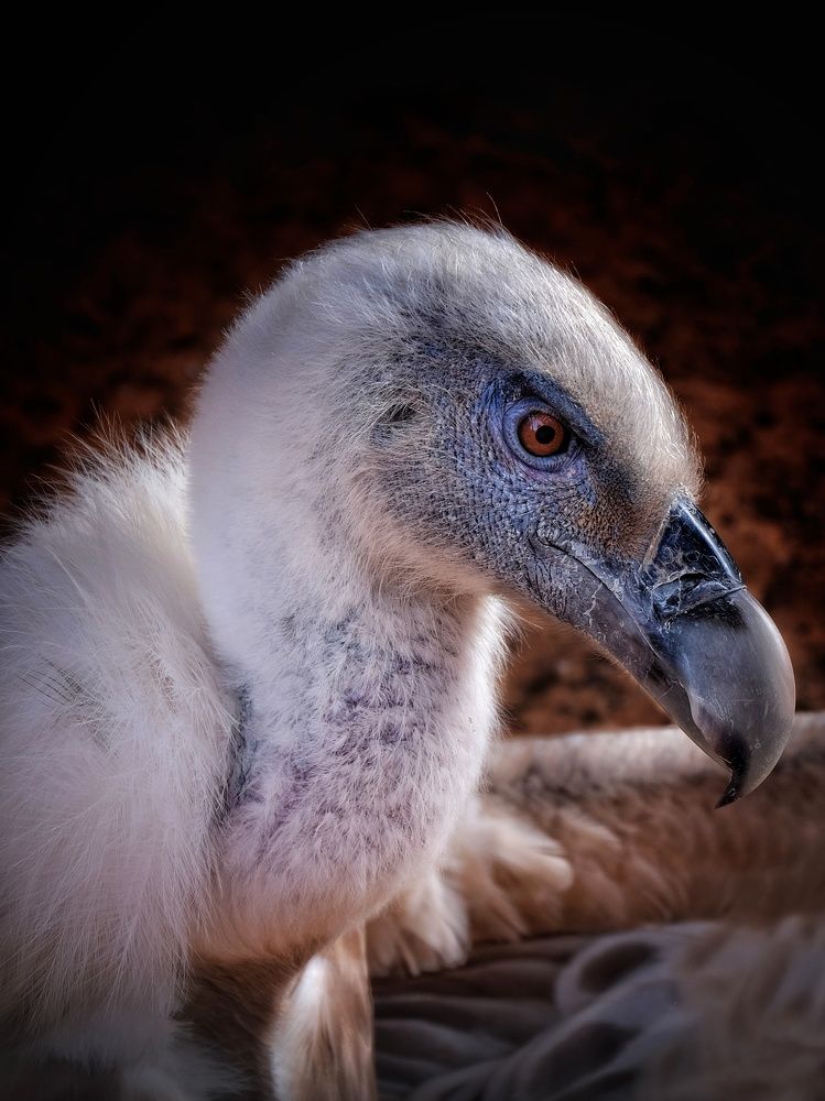 Фотография автора Ilyes Benaissa