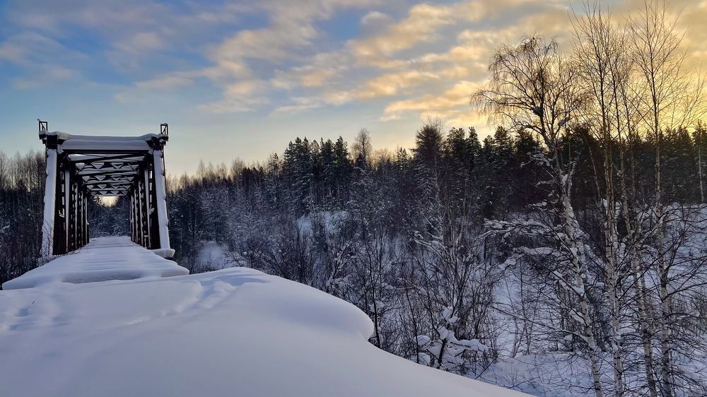 Photograph by Alina Andreevna