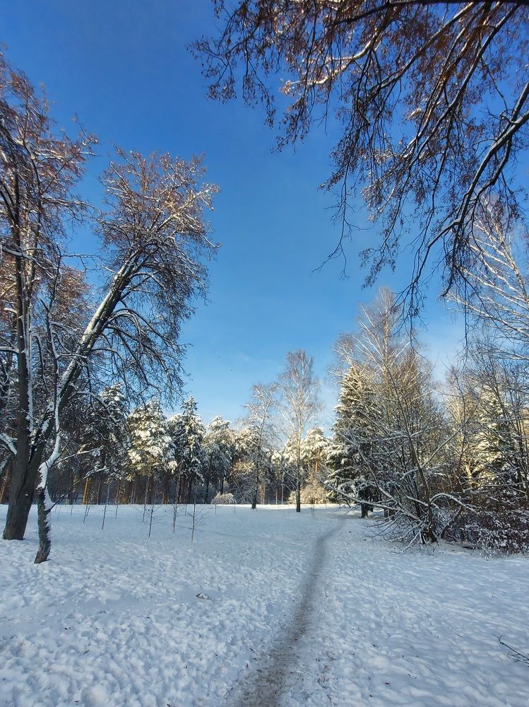 Photograph by Екатерина Мосевич