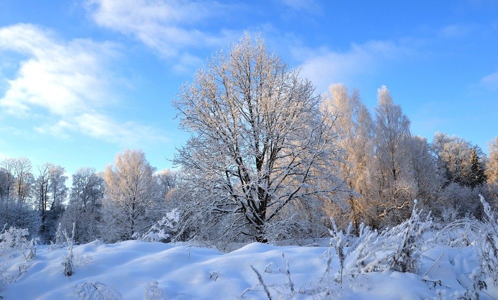 Photograph by Rita Būgienė