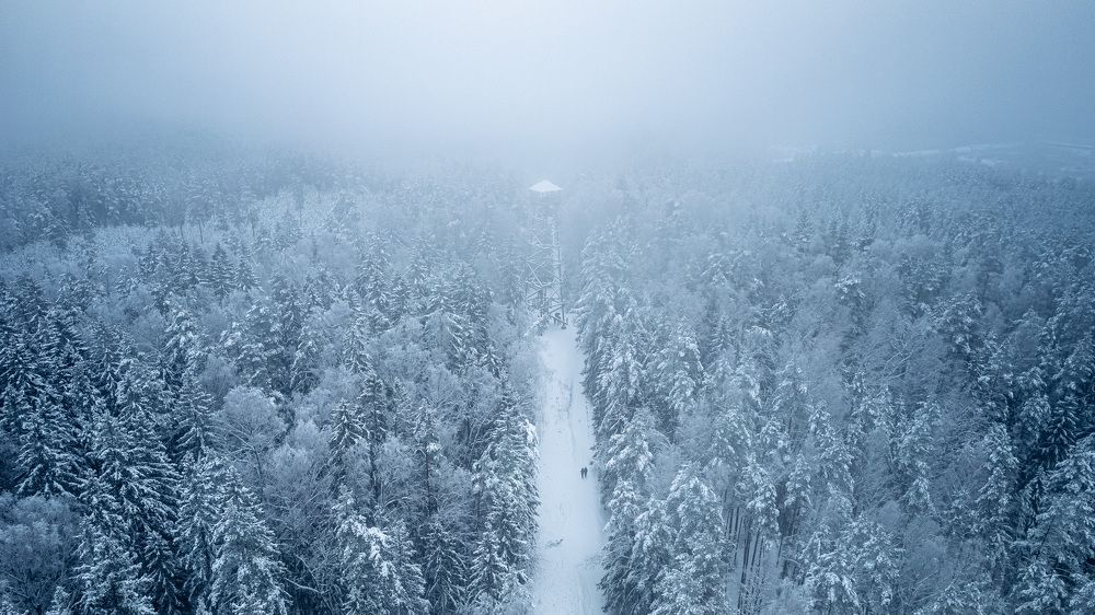 Photograph by Парфентьев Антон