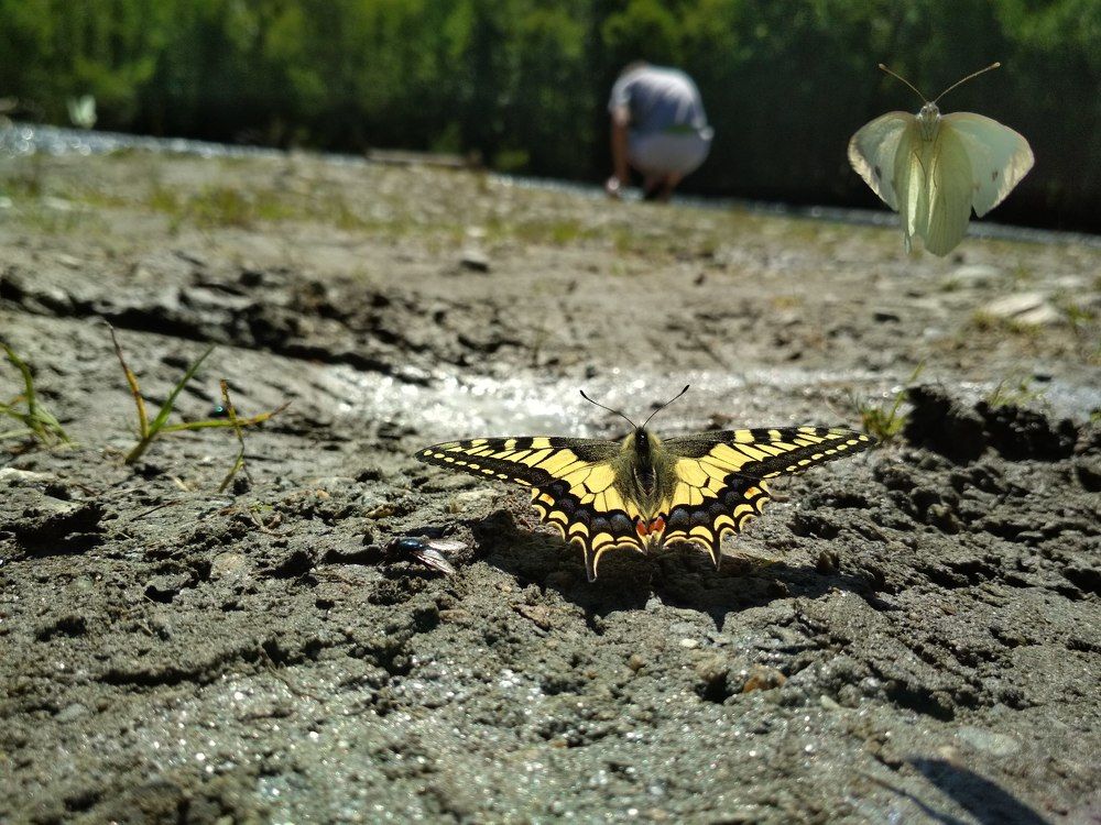 Photograph by Daria Kirina