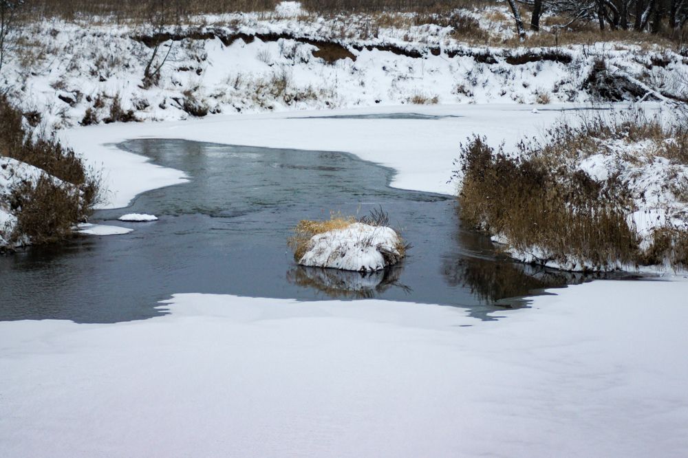 Photograph by Людмила Щепилова