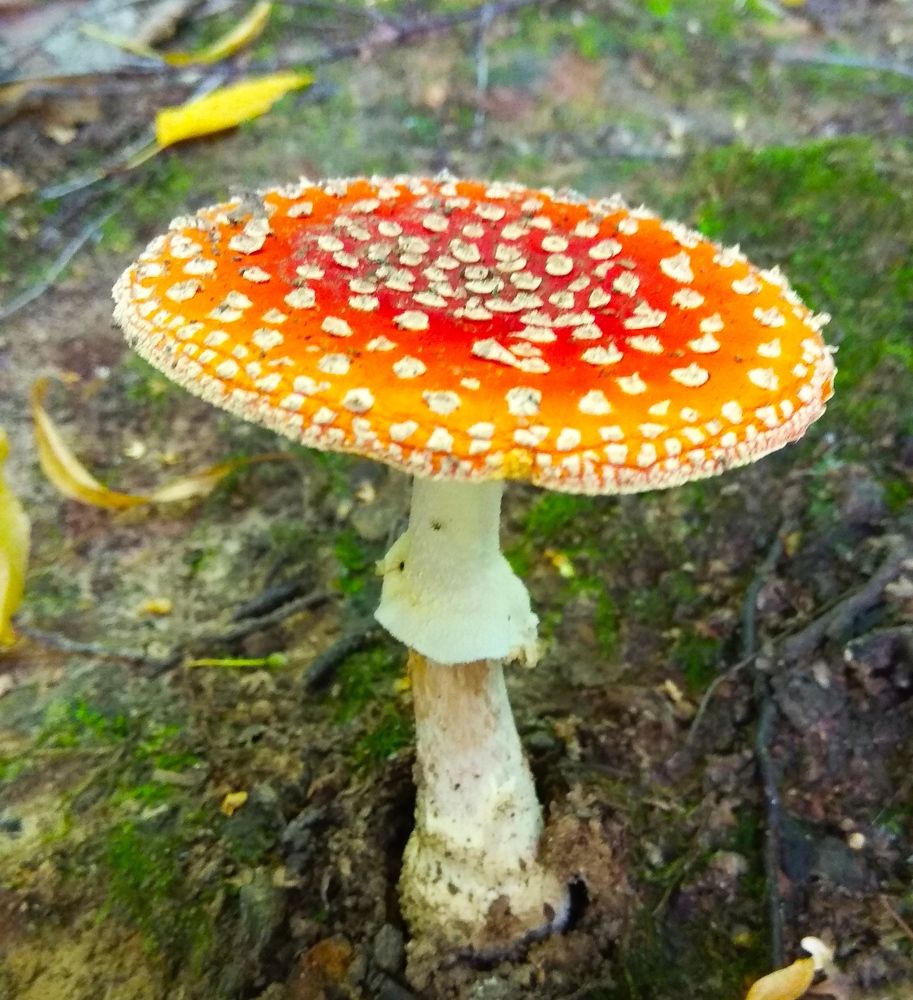 Photograph by Vadim Arutyunov