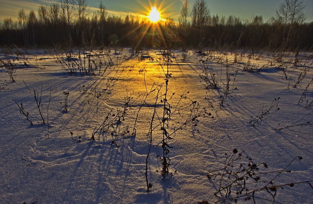 Фотография автора Анатолий Борисов
