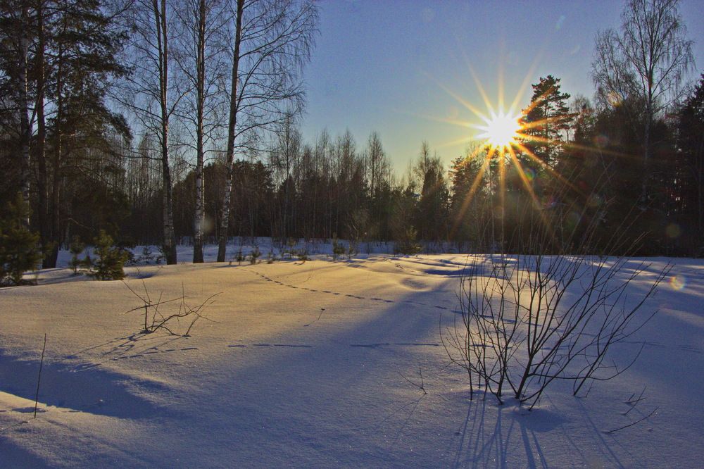 Photograph by 