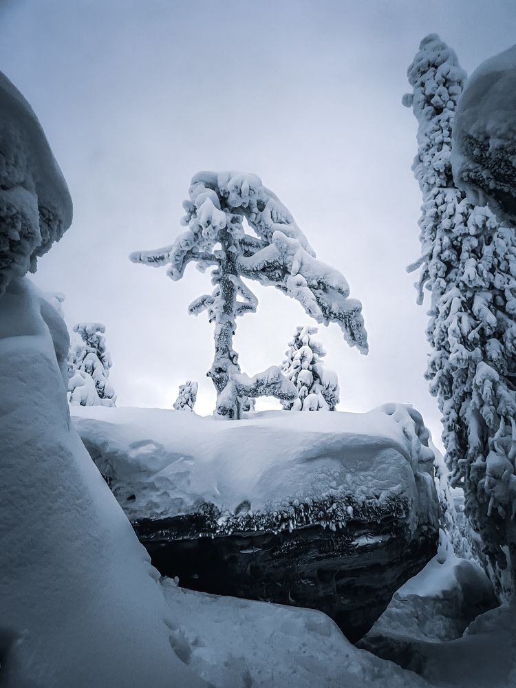 Photograph by Евгений Козырев