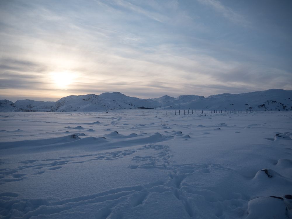 Зимнее безмолвие