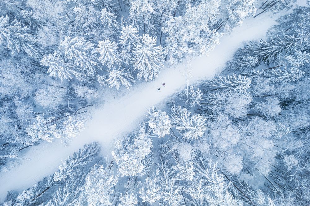 Photograph by Парфентьев Антон