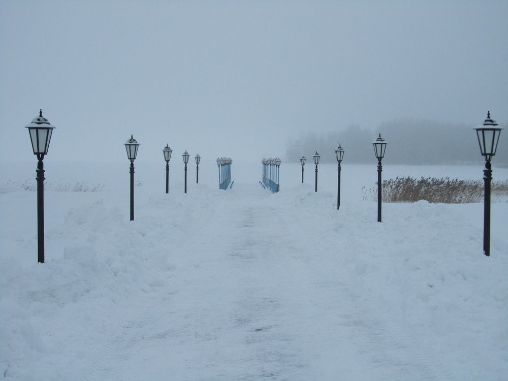 Photo #8490032