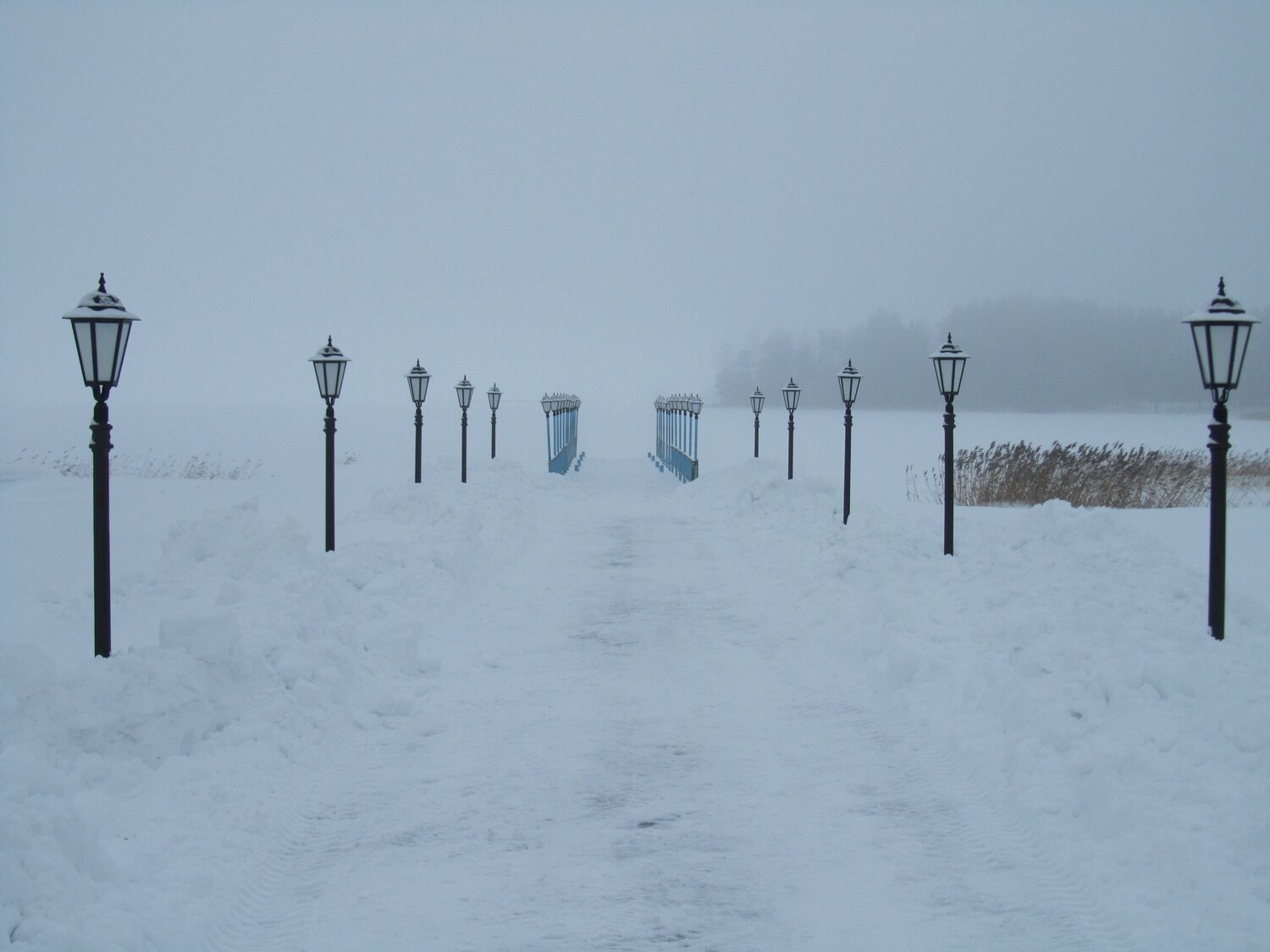 Photo #8490032
