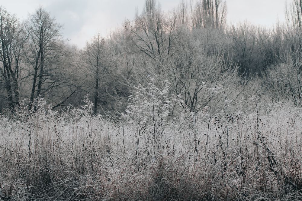 Photograph by Софья Лученкова