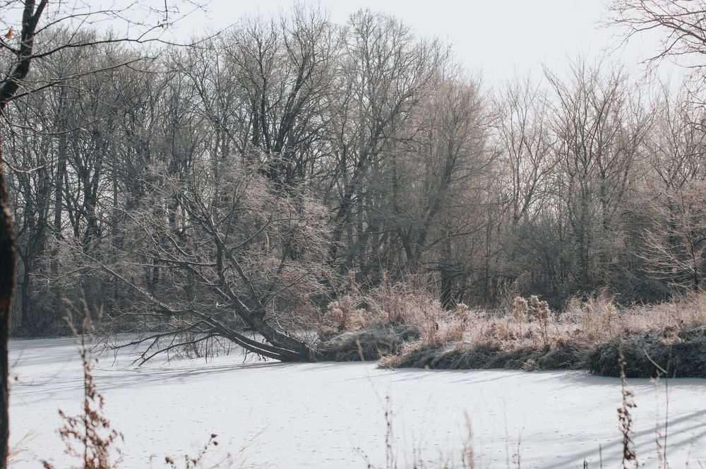 Photograph by Софья Лученкова