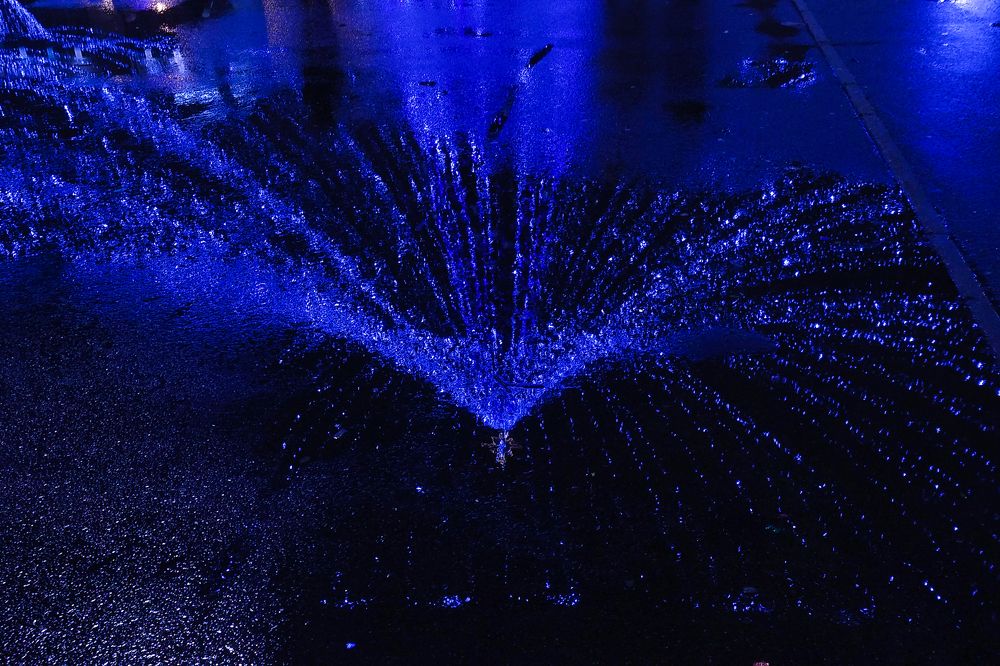 Photograph by Tatsiana Shpak