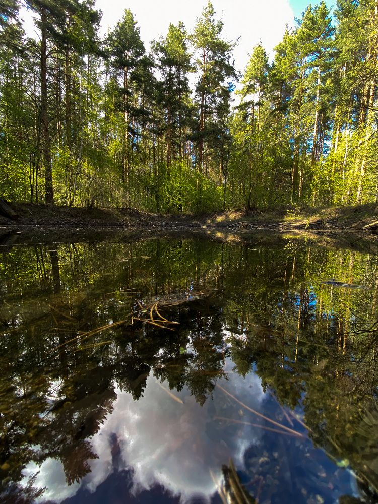 Photograph by Вера Романова