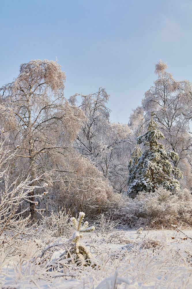 Photograph by Голованов Николай