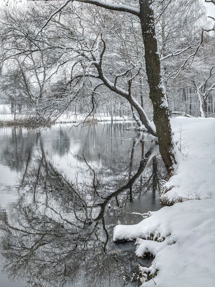 Photograph by Владимир Шаруба