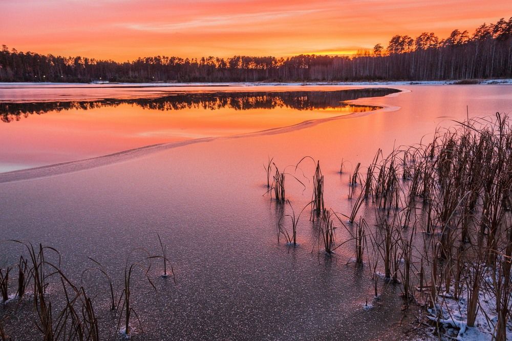 Photograph by Елена