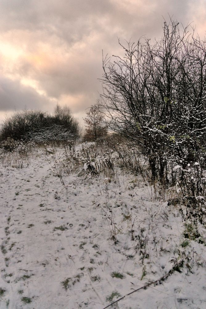 Photograph by Светлана Гонская