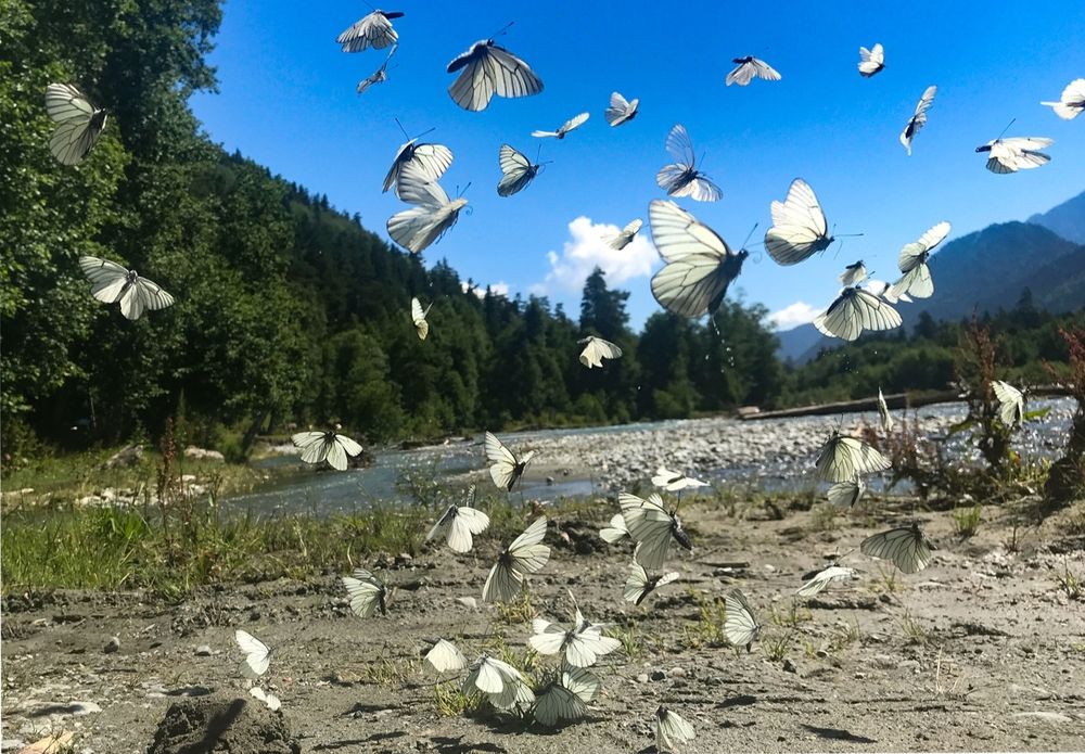 Photograph by Daria Kirina