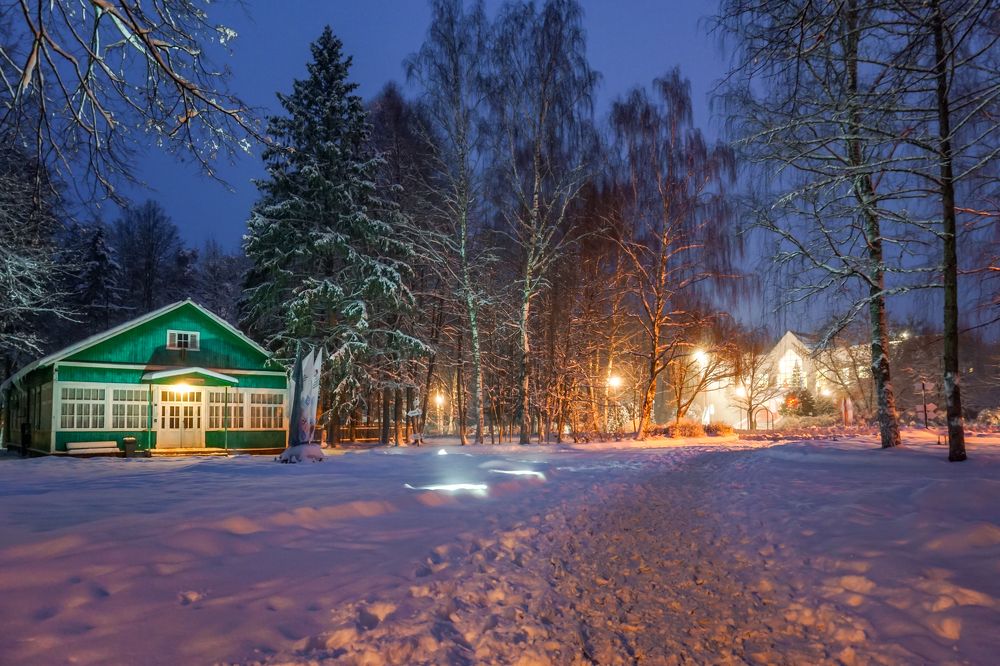 Photograph by Алина Аркатова