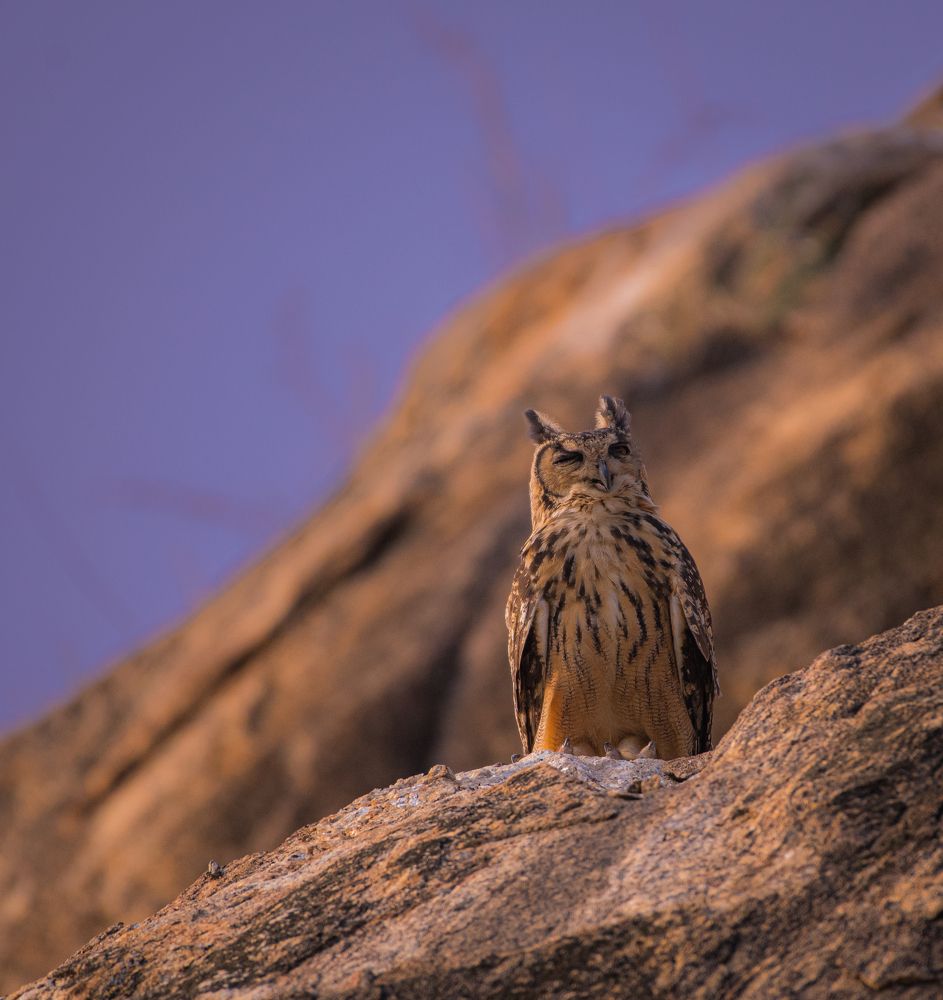 Photograph by Sabari Ganesh Sivakumar