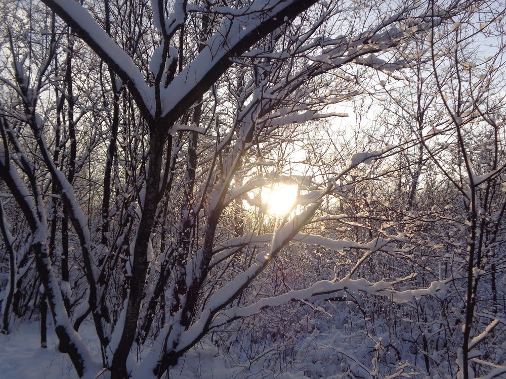 Photograph by Георгий Салюков