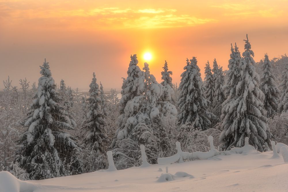 Photograph by Михаил Карпов