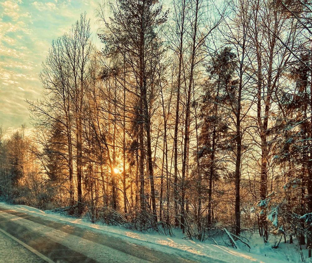 Photograph by Оксана Смородина