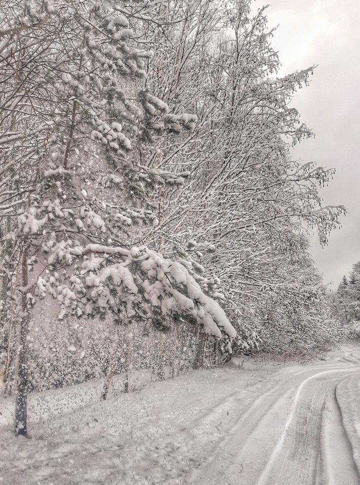 Photograph by Оксана Смородина