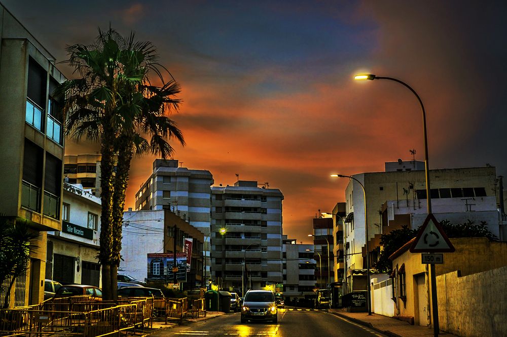 Edificios y palmeras