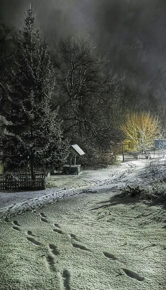 Photograph by Любовь Колмакова