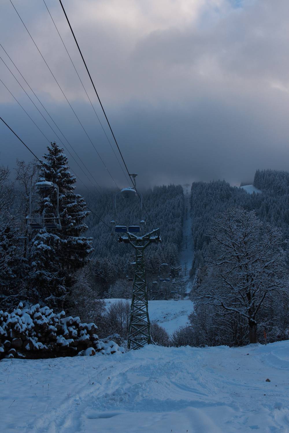 Photo #8490251
